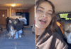 Heartwarming Rescue Dog Adoption Story: Siggi Finds Her Forever Home After a Tearful 23-Hour Journey with Foster Mom Heartwarming Rescue Dog Adoption Story: Siggi Finds Her Forever Home After a Tearful 23-Hour Journey with Foster Mom