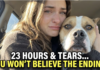 Heartwarming Rescue Dog Adoption Story: Siggi Finds Her Forever Home After a Tearful 23-Hour Journey with Foster Mom Heartwarming Rescue Dog Adoption Story: Siggi Finds Her Forever Home After a Tearful 23-Hour Journey with Foster Mom