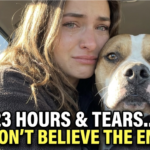 Heartwarming Rescue Dog Adoption Story: Siggi Finds Her Forever Home After a Tearful 23-Hour Journey with Foster Mom Heartwarming Rescue Dog Adoption Story: Siggi Finds Her Forever Home After a Tearful 23-Hour Journey with Foster Mom