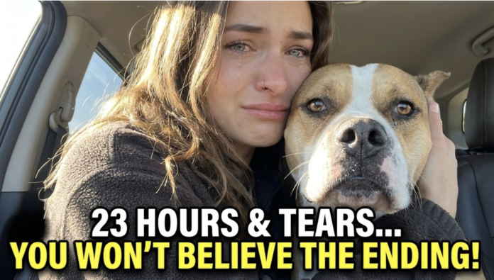 Heartwarming Rescue Dog Adoption Story: Siggi Finds Her Forever Home After a Tearful 23-Hour Journey with Foster Mom