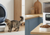 Guest Post: My Experience Switching to an Automatic Litter Box & Smart Feeder Guest Post: My Experience Switching to an Automatic Litter Box & Smart Feeder