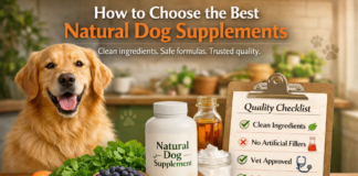 What to Look for in a Natural Dog Supplement What to Look for in a Natural Dog Supplement