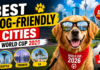 Best Dog-Friendly Cities Hosting the 2026 FIFA World Cup Best Dog-Friendly Cities Hosting the 2026 FIFA World Cup