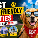 Best Dog-Friendly Cities Hosting the 2026 FIFA World Cup Best Dog-Friendly Cities Hosting the 2026 FIFA World Cup