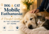 Dog and Cat Mobile Euthanasia: A Peaceful Goodbyein the Comfort of Home Dog and Cat Mobile Euthanasia