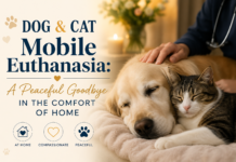 Dog and Cat Mobile Euthanasia: A Peaceful Goodbyein the Comfort of Home Dog and Cat Mobile Euthanasia
