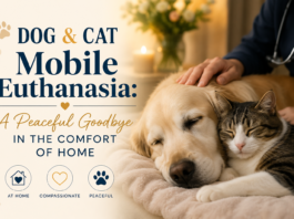 Dog and Cat Mobile Euthanasia: A Peaceful Goodbyein the Comfort of Home Dog and Cat Mobile Euthanasia