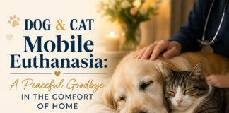 Dog and Cat Mobile Euthanasia: A Peaceful Goodbyein the Comfort of Home Dog and Cat Mobile Euthanasia