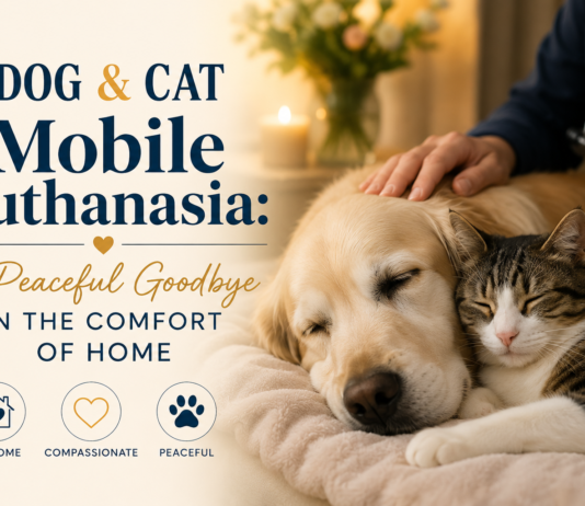 Dog and Cat Mobile Euthanasia: A Peaceful Goodbyein the Comfort of Home Dog and Cat Mobile Euthanasia