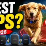 Pet GPS Trackers Compared - Best for Escaping Dogs & Cats in 2026