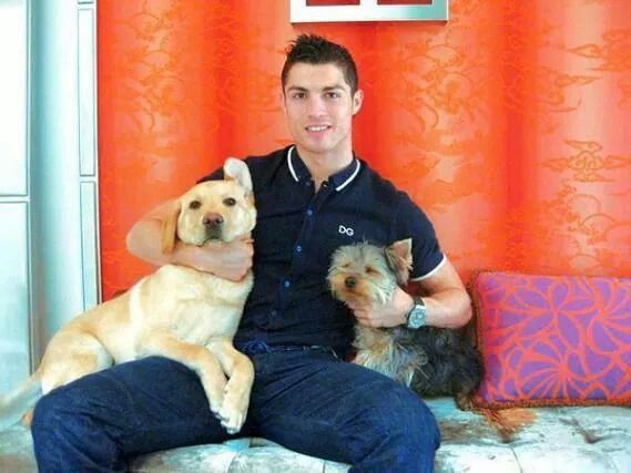 Ronaldo dogs
