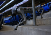 Could Robot Dogs Replace Human Security at the 2026 World Cup? The Future of Stadium Protection Has Arrived Could Robot Dogs Replace Human Security at the 2026 World Cup?