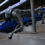 Could Robot Dogs Replace Human Security at the 2026 World Cup? The Future of Stadium Protection Has Arrived Could Robot Dogs Replace Human Security at the 2026 World Cup?