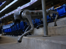 Could Robot Dogs Replace Human Security at the 2026 World Cup? The Future of Stadium Protection Has Arrived Could Robot Dogs Replace Human Security at the 2026 World Cup?