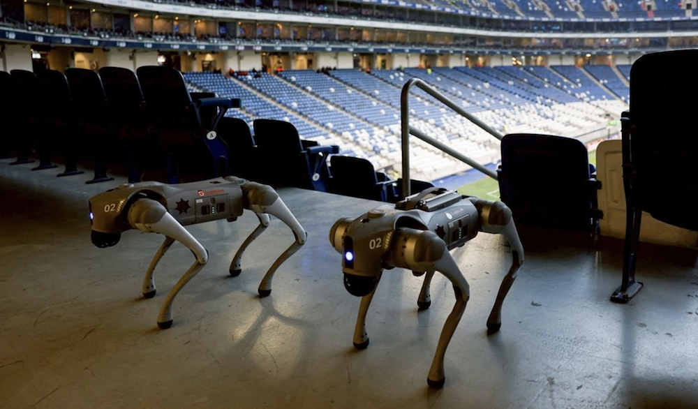 FIFA 2026: The Robot Dogs Guarding Football’s Biggest Tournament