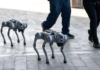 FIFA 2026: The Robot Dogs Guarding Football’s Biggest Tournament FIFA 2026: The Robot Dogs Guarding Football’s Biggest Tournament