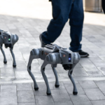 FIFA 2026: The Robot Dogs Guarding Football’s Biggest Tournament FIFA 2026: The Robot Dogs Guarding Football’s Biggest Tournament