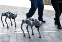 FIFA 2026: The Robot Dogs Guarding Football’s Biggest Tournament FIFA 2026: The Robot Dogs Guarding Football’s Biggest Tournament