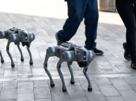 FIFA 2026: The Robot Dogs Guarding Football’s Biggest Tournament FIFA 2026: The Robot Dogs Guarding Football’s Biggest Tournament