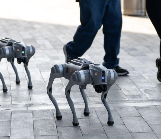 FIFA 2026: The Robot Dogs Guarding Football’s Biggest Tournament FIFA 2026: The Robot Dogs Guarding Football’s Biggest Tournament