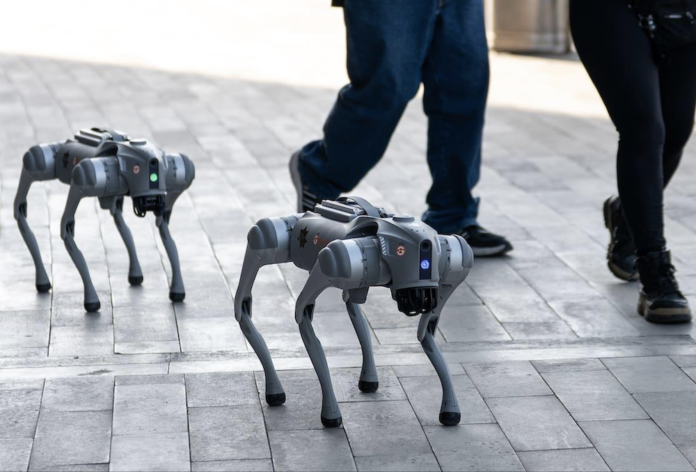 FIFA 2026: The Robot Dogs Guarding Football’s Biggest Tournament