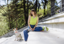 The Hidden Danger for Dog Owners Traveling to the 2026 World Cup The Hidden Danger for Dog Owners Traveling to the 2026 World Cup