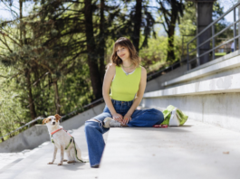 The Hidden Danger for Dog Owners Traveling to the 2026 World Cup The Hidden Danger for Dog Owners Traveling to the 2026 World Cup