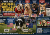 These Dogs Predicted World Cup Winners Before Humans Did: Canine Oracles of the Beautiful Game These Dogs Predicted World Cup Winners Before Humans Did: Canine Oracles of the Beautiful Game