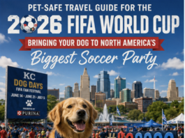 Pet-Safe Travel Guide for the 2026 FIFA World Cup: Bringing Your Dog to North America’s Biggest Soccer Party Pet-Safe Travel Guide for the 2026 FIFA World Cup