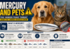 Mercury and Pets: The Toxic Threat Every Pet Owner Should Know (2026 Guide)
