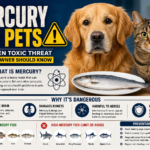 Mercury and Pets: The Toxic Threat Every Pet Owner Should Know (2026 Guide)