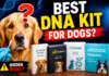 DNA Testing for Dogs: Which Kit Offers the Best Genetic Health Screening? DNA Testing for Dogs