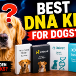 DNA Testing for Dogs: Which Kit Offers the Best Genetic Health Screening? DNA Testing for Dogs