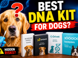 DNA Testing for Dogs: Which Kit Offers the Best Genetic Health Screening? DNA Testing for Dogs