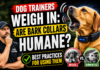 Veterinarians Share: Top Recommendations for Pet GPS Trackers & Safety Collars Dog Trainers Weigh In - Are Bark Collars Humane?
