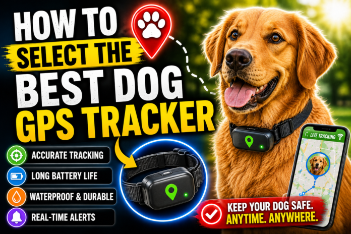 How to Select the Best Dog GPS Tracker