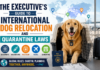 The Executive’s Guide to International Dog Relocation and Quarantine Laws The Executive's Guide to International Dog Relocation and Quarantine Laws