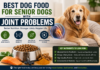 Best Dog Food for Senior Dogs with Joint Problems (2026 Vet-Approved Guide) Best Dog Food for Senior Dogs with Joint Problems (2026 Vet-Approved Guide)