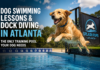 Dog Swimming Lessons & Dock Diving in Atlanta: The Only Training Pool Your Dog Needs Dog Swimming Lessons & Dock Diving in Atlanta