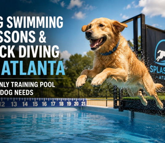 Dog Swimming Lessons & Dock Diving in Atlanta: The Only Training Pool Your Dog Needs Dog Swimming Lessons & Dock Diving in Atlanta