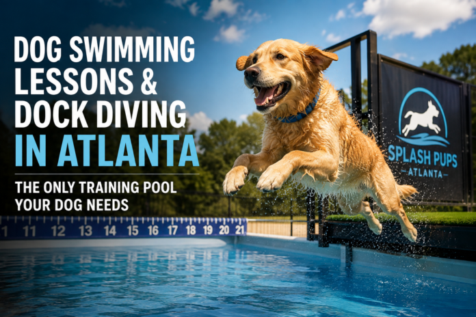 Dog Swimming Lessons & Dock Diving in Atlanta Dog Swimming Lessons & Dock Diving in Atlanta