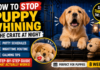 How to Stop Puppy Whining in the Crate at Night (Step-by-Step Guide That Actually Works) How to Stop Puppy Whining in the Crate at Night