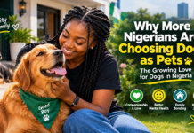 Why More Nigerians Are Choosing Dogs as Pets: The Growing Love for Dogs in Nigeria Why More Nigerians Are Choosing Dogs as Pets