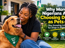 Why More Nigerians Are Choosing Dogs as Pets: The Growing Love for Dogs in Nigeria Why More Nigerians Are Choosing Dogs as Pets