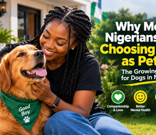 Why More Nigerians Are Choosing Dogs as Pets: The Growing Love for Dogs in Nigeria Why More Nigerians Are Choosing Dogs as Pets