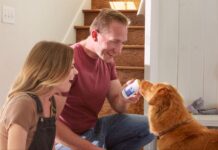 7 Things to Know About Dog Bad Breath (Causes, Fixes, and When to See a Vet) 7 Things to Know About Dog Bad Breath (Causes, Fixes, and When to See a Vet)