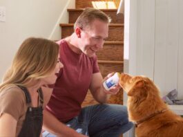 7 Things to Know About Dog Bad Breath (Causes, Fixes, and When to See a Vet) 7 Things to Know About Dog Bad Breath (Causes, Fixes, and When to See a Vet)