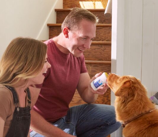 7 Things to Know About Dog Bad Breath (Causes, Fixes, and When to See a Vet) 7 Things to Know About Dog Bad Breath (Causes, Fixes, and When to See a Vet)