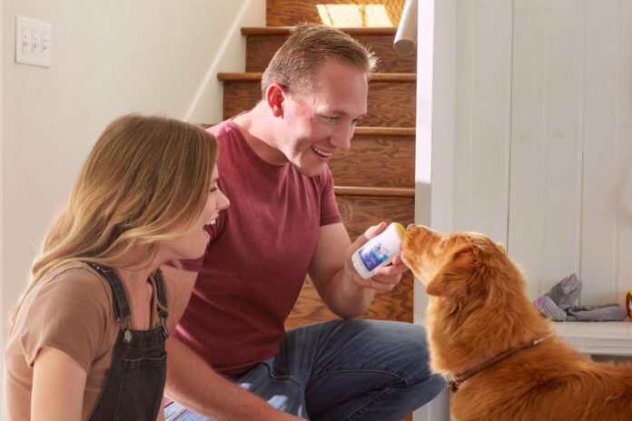 7 Things to Know About Dog Bad Breath (Causes, Fixes, and When to See a Vet) 7 Things to Know About Dog Bad Breath (Causes, Fixes, and When to See a Vet)