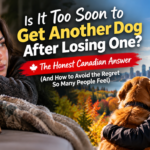 Is It Too Soon to Get Another Dog After Losing One? The Honest Canadian Answer (And How to Avoid the Regret So Many People Feel) Is It Too Soon to Get Another Dog After Losing One